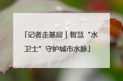 记者走基层｜智慧“水卫士”守护城市水脉