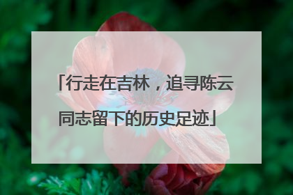 行走在吉林，追寻陈云同志留下的历史足迹