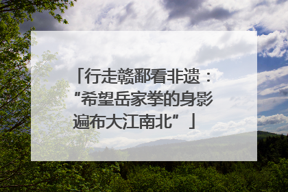 行走赣鄱看非遗：“希望岳家拳的身影遍布大江南北”
