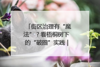 街区治理有“魔法”？看梧桐树下的“破圈”实践｜我在街区当书记