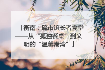 衡南：硫市镇长者食堂——从“孤独餐桌”到文明的“温馨港湾”
