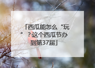 西瓜能怎么“玩”？这个西瓜节办到第37届