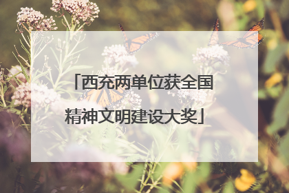 西充两单位获全国精神文明建设大奖
