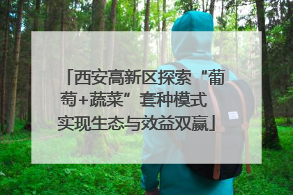 西安高新区探索“葡萄+蔬菜”套种模式 实现生态与效益双赢