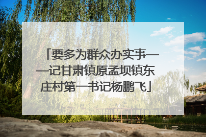 要多为群众办实事——记甘肃镇原孟坝镇东庄村第一书记杨鹏飞