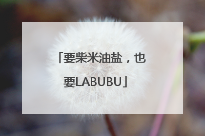 要柴米油盐，也要LABUBU