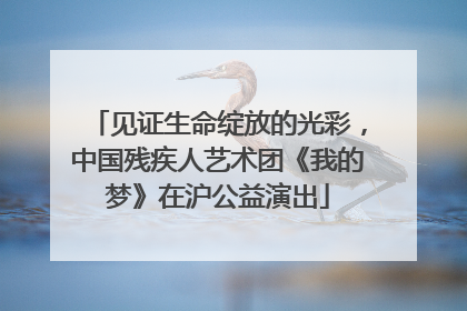 见证生命绽放的光彩，中国残疾人艺术团《我的梦》在沪公益演出
