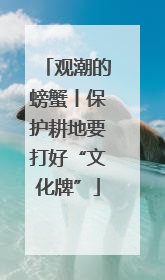 观潮的螃蟹丨保护耕地要打好“文化牌”