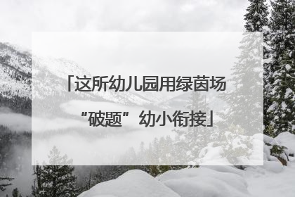 这所幼儿园用绿茵场“破题”幼小衔接