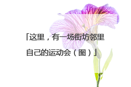 这里，有一场街坊邻里自己的运动会（图）