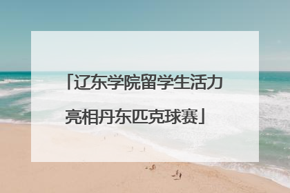 辽东学院留学生活力亮相丹东匹克球赛