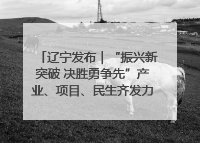 辽宁发布｜“振兴新突破 决胜勇争先”产业、项目、民生齐发力 葫芦岛按下决胜之年“加速键”