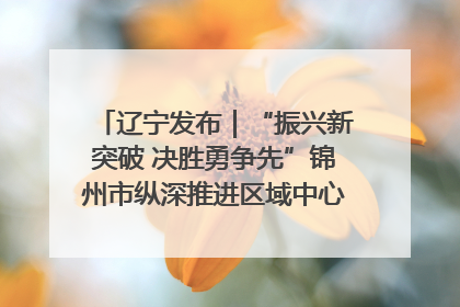 辽宁发布｜“振兴新突破 决胜勇争先”锦州市纵深推进区域中心城市建设 打造高质量发展新增长极