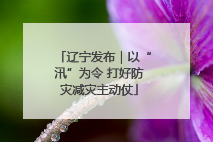 辽宁发布｜以“汛”为令 打好防灾减灾主动仗