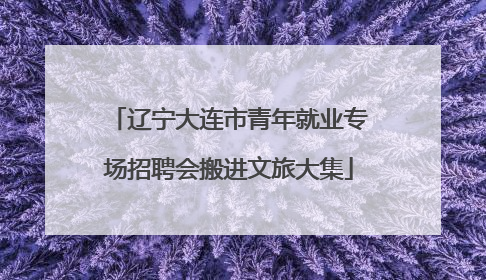 辽宁大连市青年就业专场招聘会搬进文旅大集