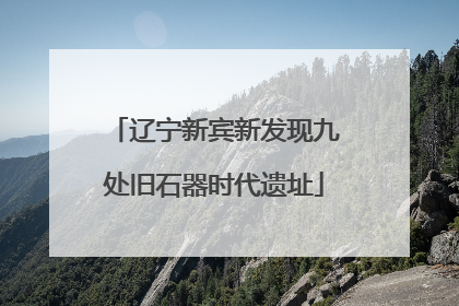 辽宁新宾新发现九处旧石器时代遗址