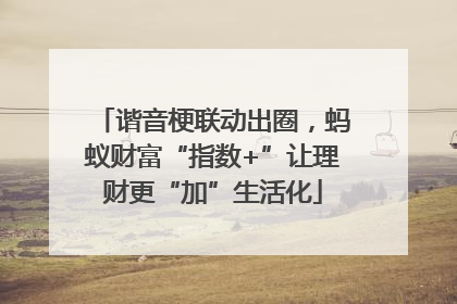 谐音梗联动出圈，蚂蚁财富“指数+”让理财更“加”生活化