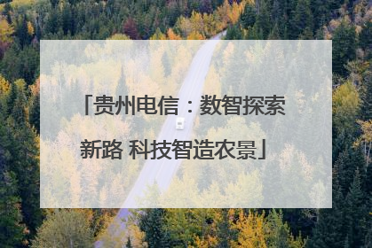 贵州电信：数智探索新路 科技智造农景