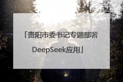 贵阳市委书记专题部署DeepSeek应用