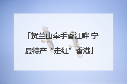 贺兰山牵手香江畔 宁夏特产“走红”香港
