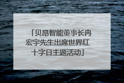 贝昂智能董事长冉宏宇先生出席世界红十字日主题活动
