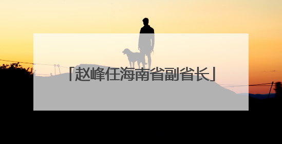 赵峰任海南省副省长