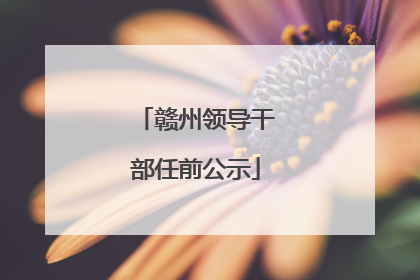 赣州领导干部任前公示