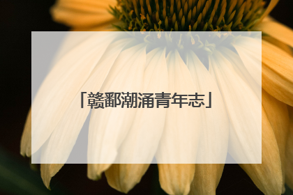 赣鄱潮涌青年志
