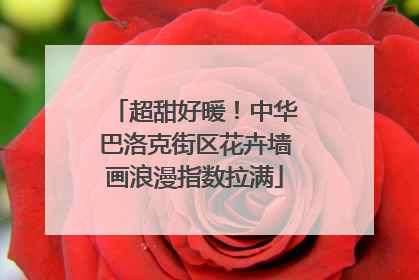 超甜好暖！中华巴洛克街区花卉墙画浪漫指数拉满