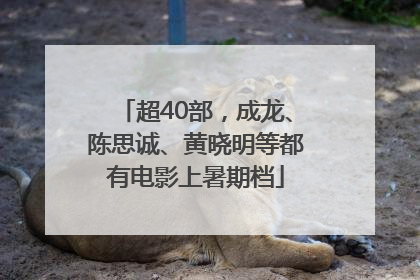 超40部，成龙、陈思诚、黄晓明等都有电影上暑期档
