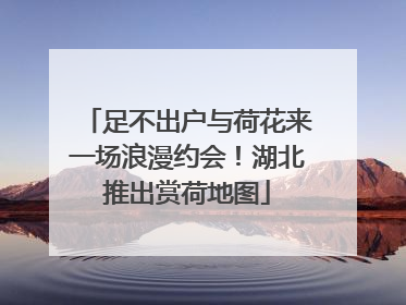 足不出户与荷花来一场浪漫约会！湖北推出赏荷地图