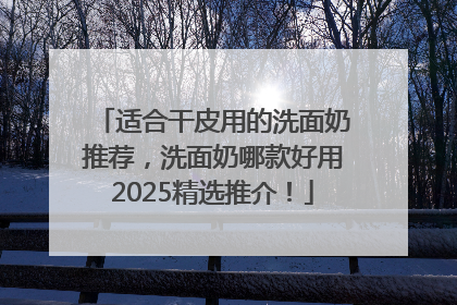 适合干皮用的洗面奶推荐，洗面奶哪款好用2025精选推介！