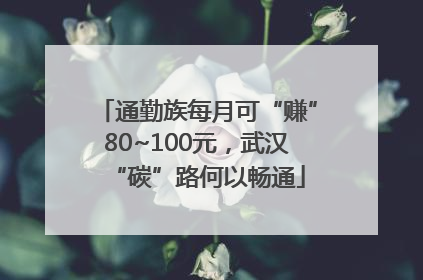 通勤族每月可“赚”80~100元，武汉“碳”路何以畅通
