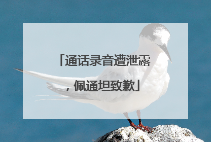 通话录音遭泄露，佩通坦致歉