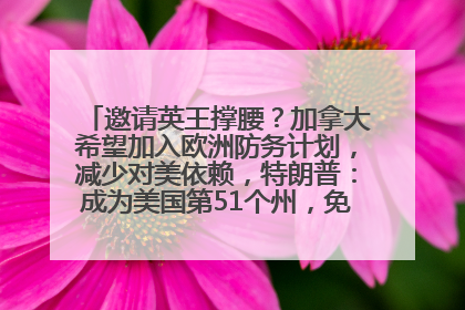 邀请英王撑腰？加拿大希望加入欧洲防务计划，减少对美依赖，特朗普：成为美国第51个州，免费用“金穹”