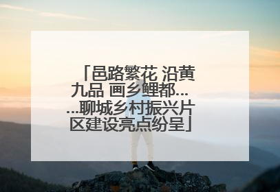 邑路繁花 沿黄九品 画乡鲤都……聊城乡村振兴片区建设亮点纷呈