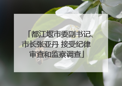 都江堰市委副书记、市长张亚丹 接受纪律审查和监察调查