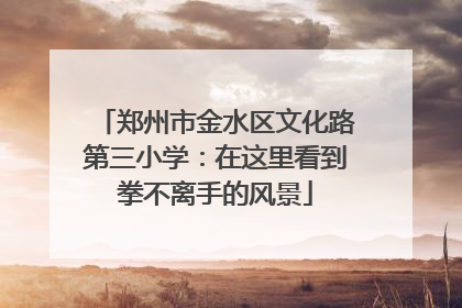 郑州市金水区文化路第三小学：在这里看到拳不离手的风景