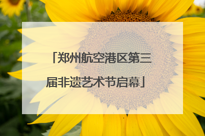 郑州航空港区第三届非遗艺术节启幕