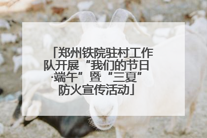 郑州铁院驻村工作队开展“我们的节日·端午”暨“三夏”防火宣传活动