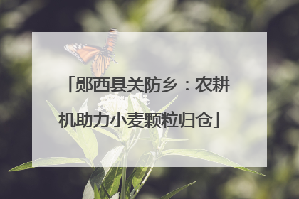 郧西县关防乡：农耕机助力小麦颗粒归仓