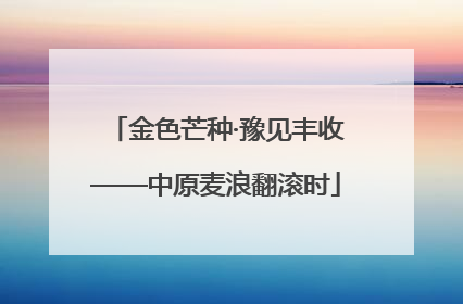 金色芒种·豫见丰收——中原麦浪翻滚时