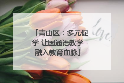 青山区：多元促学 让国通语教学融入教育血脉