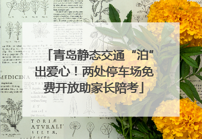 青岛静态交通“泊”出爱心！两处停车场免费开放助家长陪考