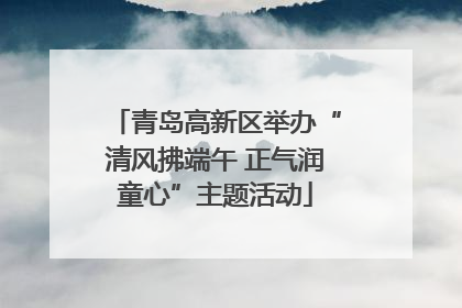 青岛高新区举办“清风拂端午 正气润童心”主题活动