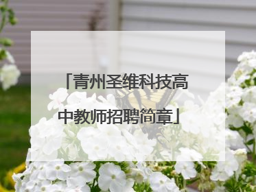 青州圣维科技高中教师招聘简章