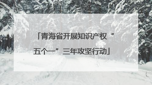 青海省开展知识产权“五个一”三年攻坚行动