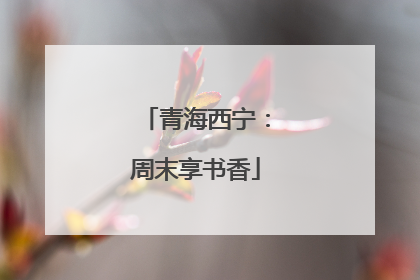 青海西宁：周末享书香