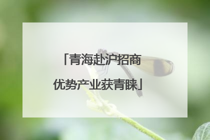 青海赴沪招商 优势产业获青睐