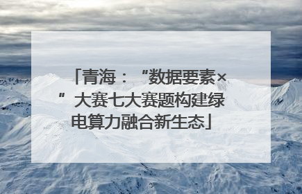 青海：“数据要素×”大赛七大赛题构建绿电算力融合新生态